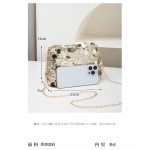 大众质感亮片链条小包包女2025新款百搭法国时尚斜跨小方包可代发